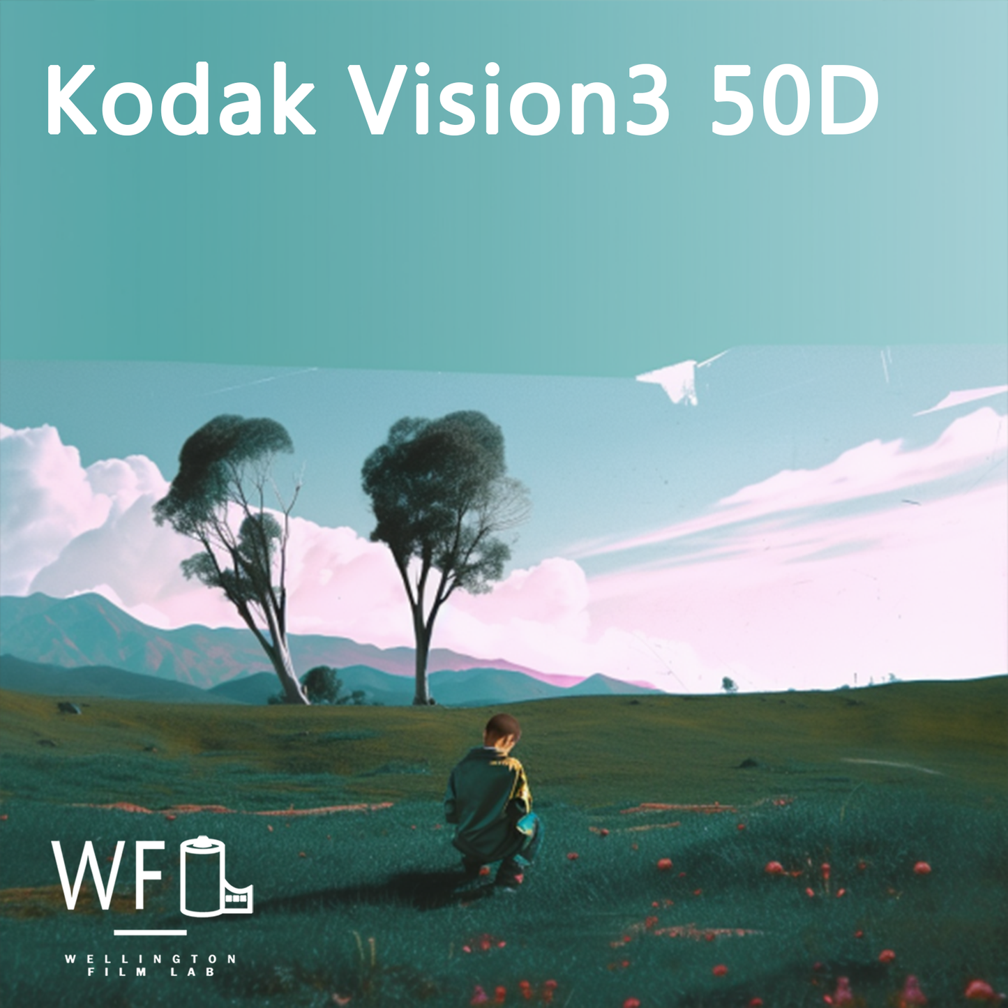 Kodak Vision3 50D